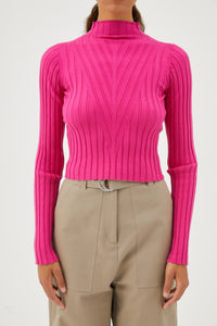 Sarria Sulay Cropped Turtleneck